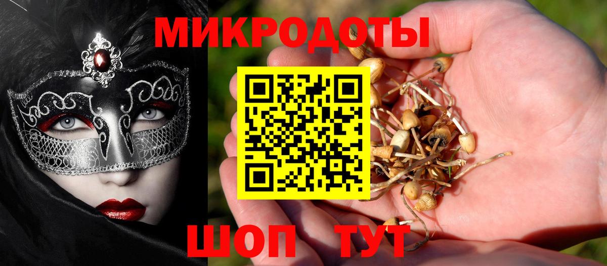 Галлюциногенные грибы Psilocybe Великий Устюг